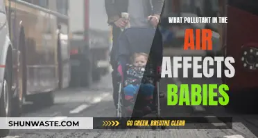 Air Pollutants: How They Affect Our Babies' Health