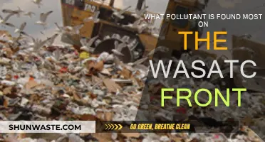 Wasatch Front's Air Quality: Pollutant Prevalence and Sources