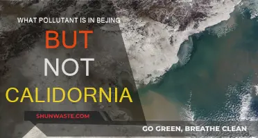 Beijing's Unique Pollutant: What California Doesn't Have