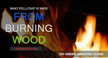 Wood Burning: Understanding the Pollutants and Their Impact