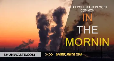 Morning Air: Unveiling the Most Common Pollutant