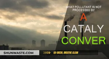 Catalytic Converters: Ineffective Against Carbon Monoxide Poisoning