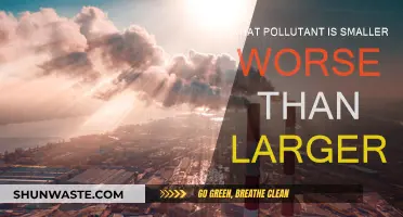 Smaller Pollutants Pack a Bigger Punch