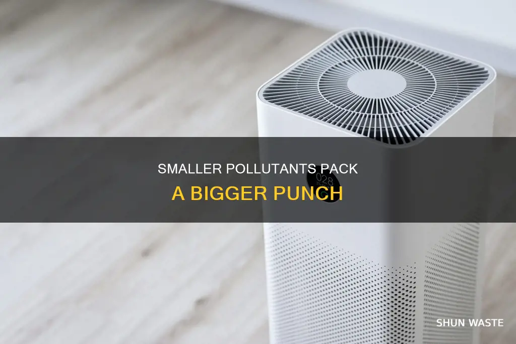 what pollutant is smaller worse than larger