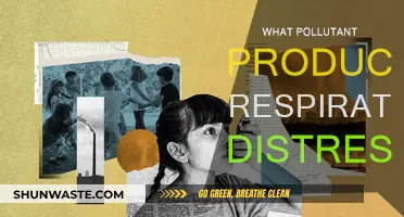 Airborne Pollutants: The Silent Cause of Respiratory Distress