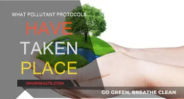 Protocols Against Pollution: Global Action