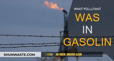 Gasoline's Pollutants: Understanding the Contaminants in Our Fuel