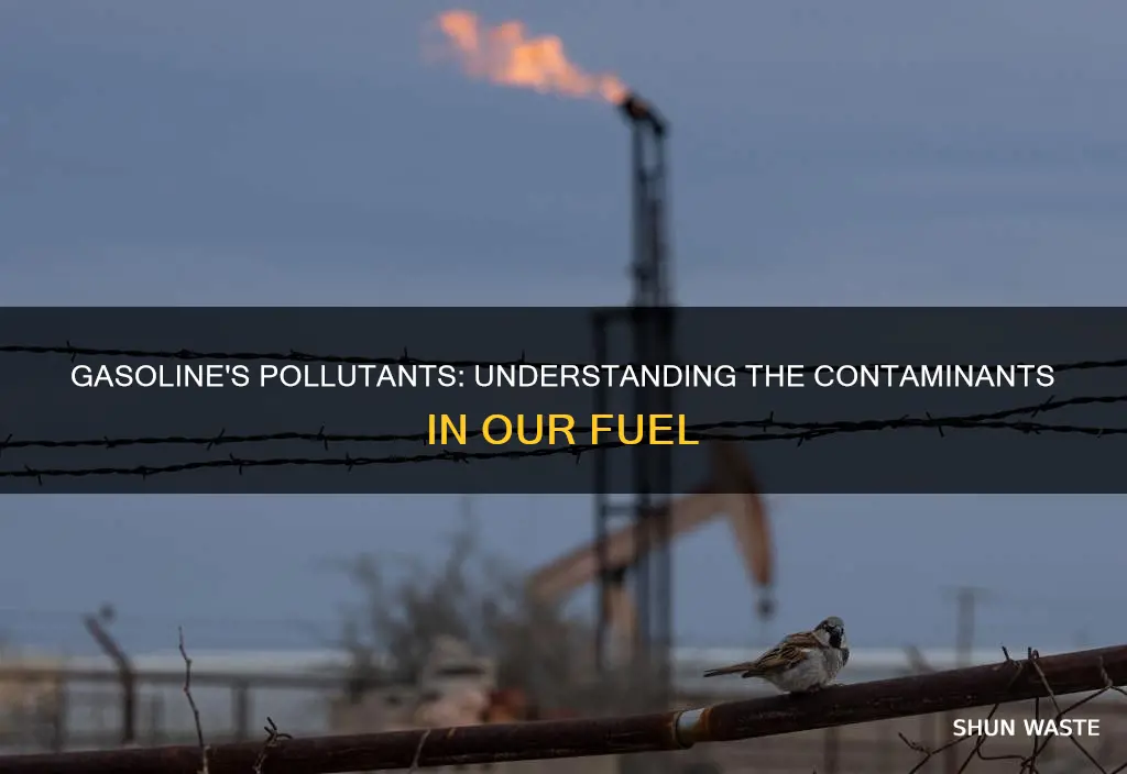 what pollutant was in gasoline