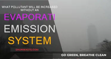 How Evaporative Emission Systems Control Harmful Hydrocarbon Pollution