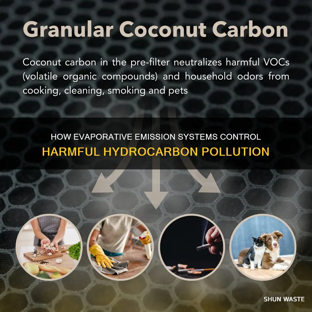 what pollutant will be increased without an evaporative emission system
