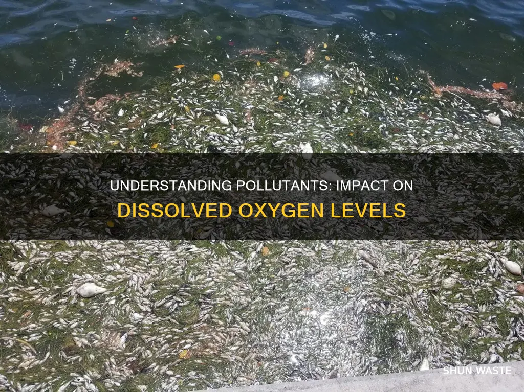 what pollutants affect dissolved oxygen