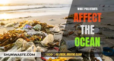 Ocean's Adversaries: Pollutants and Their Impact