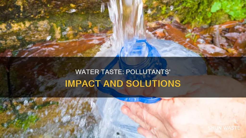 what pollutants affect water taste