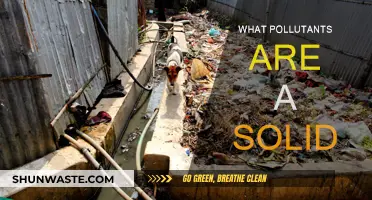 Solid Pollutants: What Are They and How Do They Affect Us?