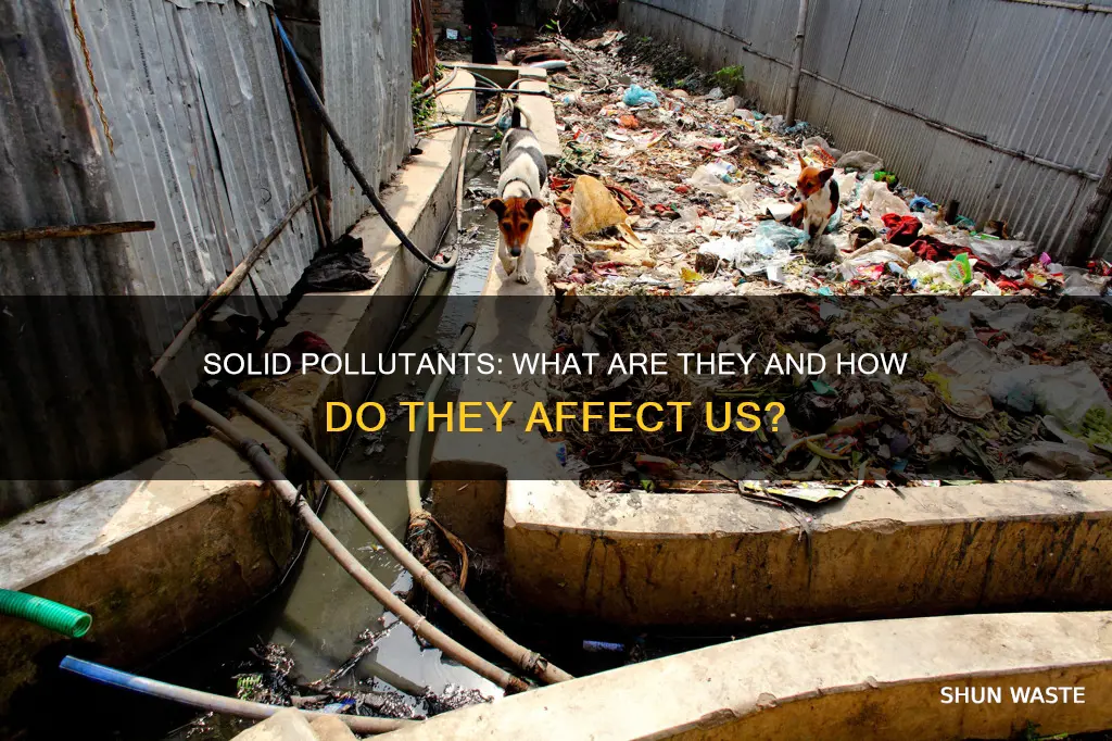 what pollutants are a solid