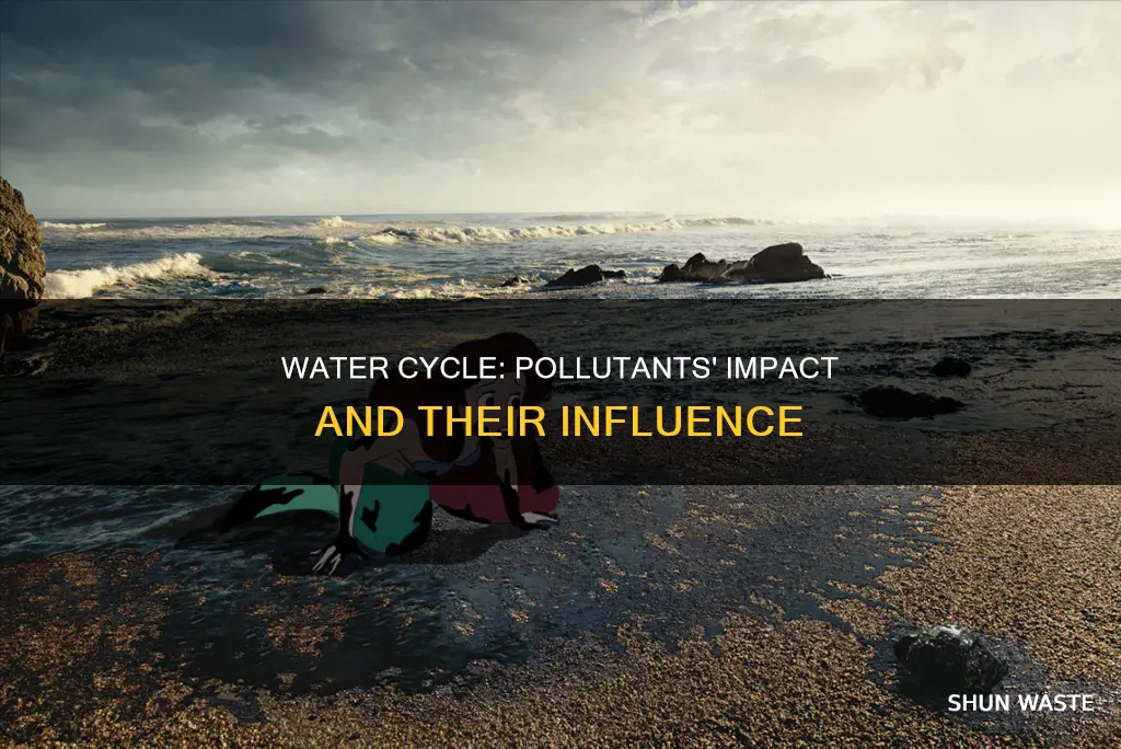 what pollutants are affecting the water cycle