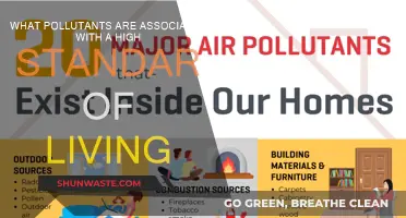 Luxury's Dark Side: Pollutants of Affluence