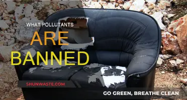 Which Pollutants Have Been Banned and Why?
