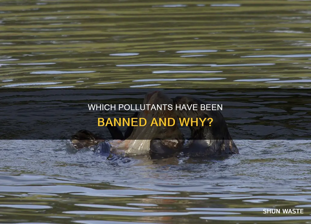what pollutants are banned