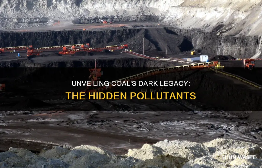 what pollutants are caused by coal usage