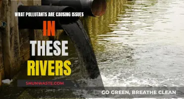 Unveiling the Hidden Pollutants: Rivers in Crisis