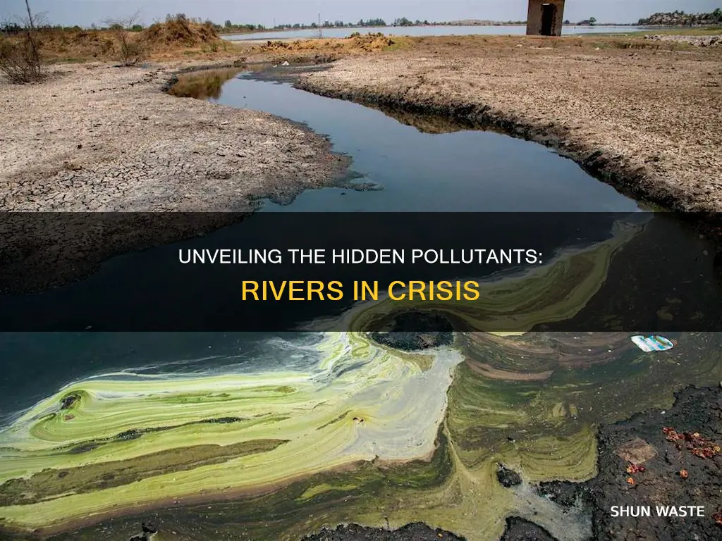 what pollutants are causing issues in these rivers