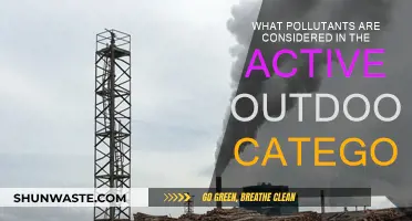 Outdoor Air Pollutants: What's Harmful Out There?