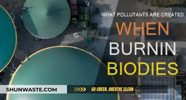 Biodiesel Burning: Understanding the Pollutants Created