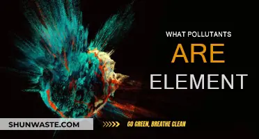 Elements as Pollutants: A Toxic Truth