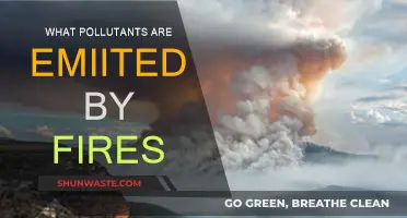 Fires and Their Toxic Emissions
