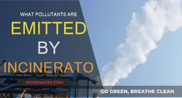 Incinerators: Understanding Their Toxic Emissions