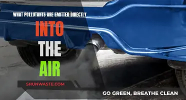 Air Pollutants: What's Being Emitted Directly?