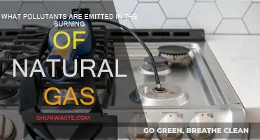 Natural Gas Burning: Pollutants and Their Impact