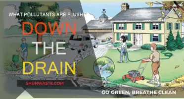 Drain Pollutants: What's Harming Our Waterways?