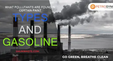 Toxic Paint and Gasoline: Hidden Pollutants Revealed