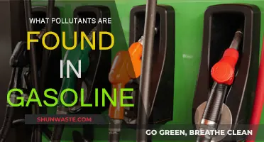 Gasoline Pollutants: Understanding the Toxic Cocktail