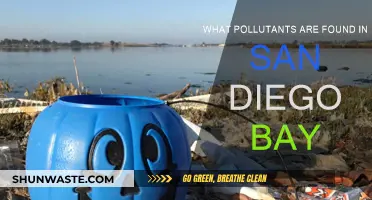 San Diego Bay: Pollutants and Their Sources