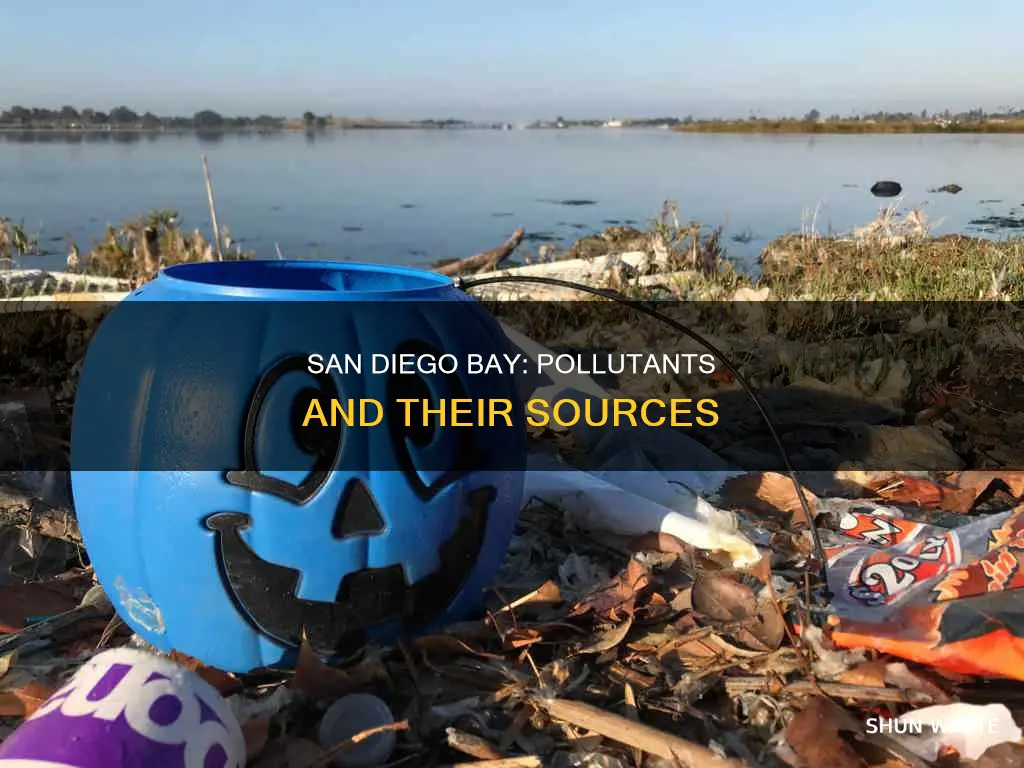 what pollutants are found in san diego bay