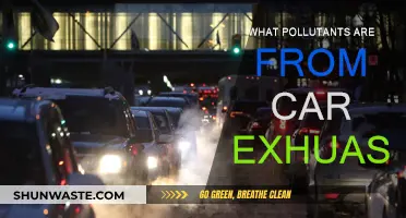 Car Exhaust: What Pollutants Are We Breathing?