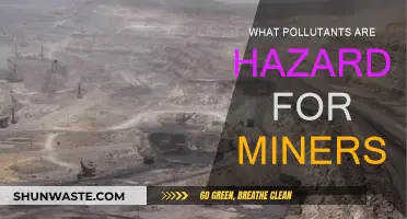 Miners' Health: Hazardous Pollutants and Their Impact