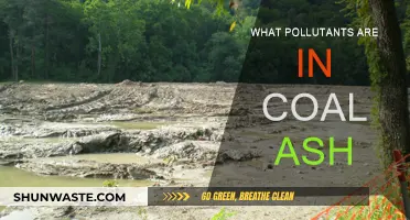 Coal Ash: Understanding the Toxic Pollutants Within