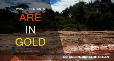 Gold's Dark Secrets: Pollutants and Impurities