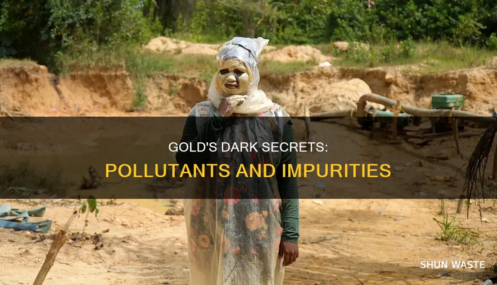what pollutants are in gold