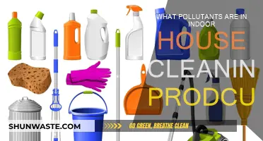 Household Cleaners: Toxic Chemicals Lurking in Your Home