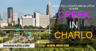 Charlotte's Little Sugar Creek: Pollutants Revealed