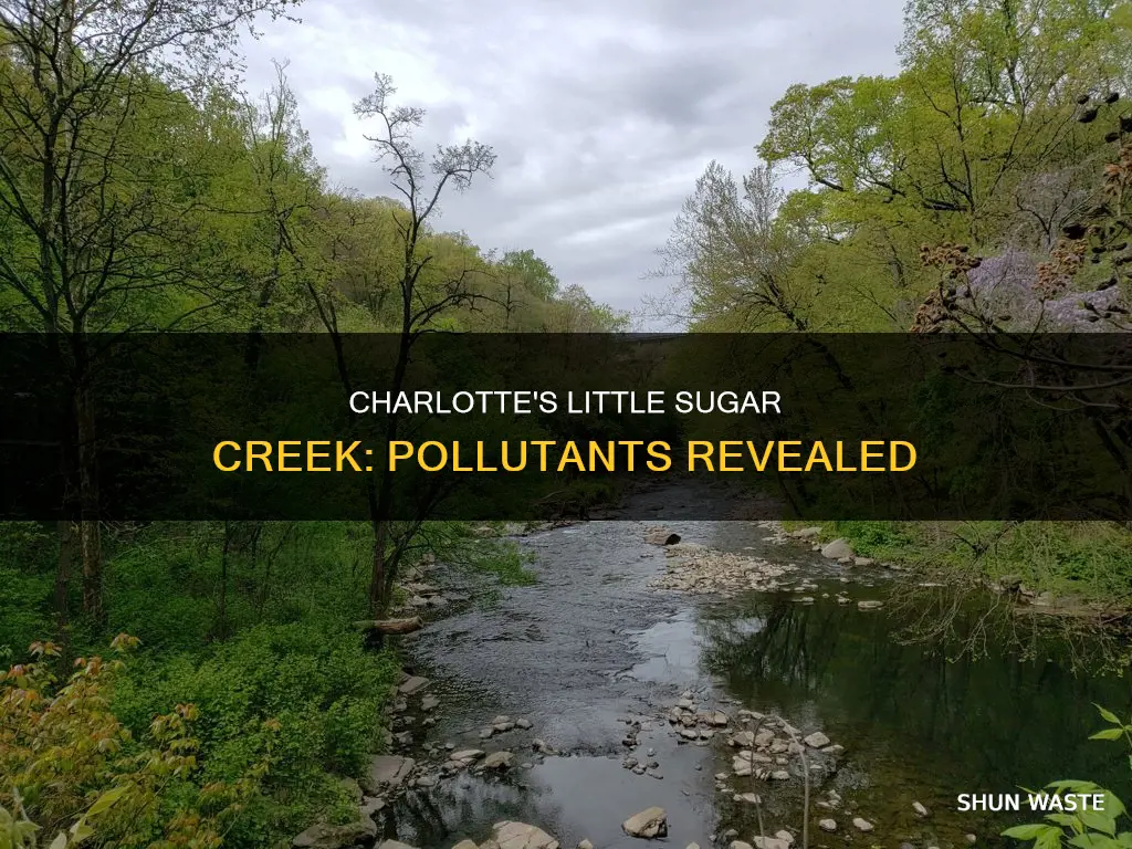 what pollutants are in little sugar creek in charlotte