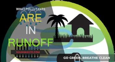 Urban Runoff: Pollutants in Our Waterways