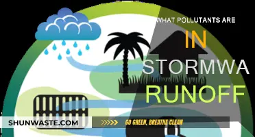 Stormwater Runoff: A Toxic Mix of Pollutants