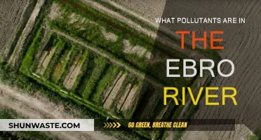Ebro River Pollution: What's in the Water?