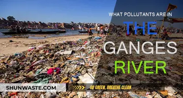Ganges River Pollution: Understanding the Contaminants